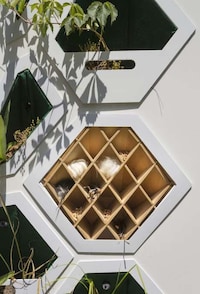 University Campus Living Walls Image 6