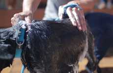 Palm-Sized Pet Bathers