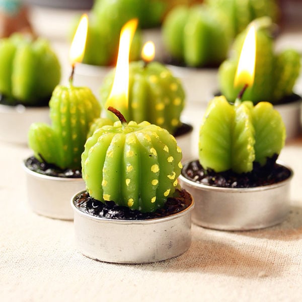 60 Gifts for Avid Gardeners