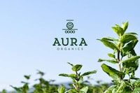 Prismatic Herb Branding Image 2