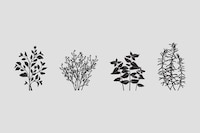 Prismatic Herb Branding Image 3