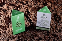 Prismatic Herb Branding Image 4
