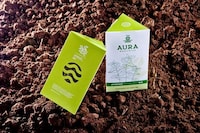 Prismatic Herb Branding Image 5
