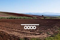 Prismatic Herb Branding Image 8