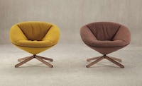 Tortoise Shell Chairs Image 3