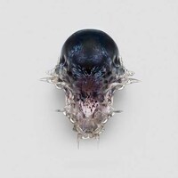 3D-Printed Death Masks Image 2