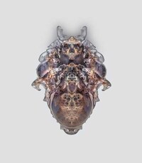 3D-Printed Death Masks Image 4