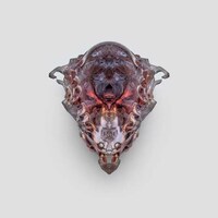 3D-Printed Death Masks Image 5