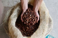Authentic Drinking Chocolates Image 5