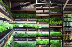 Grocery Store Herb Gardens