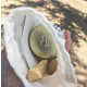 Zero Waste Deodorants Image 2