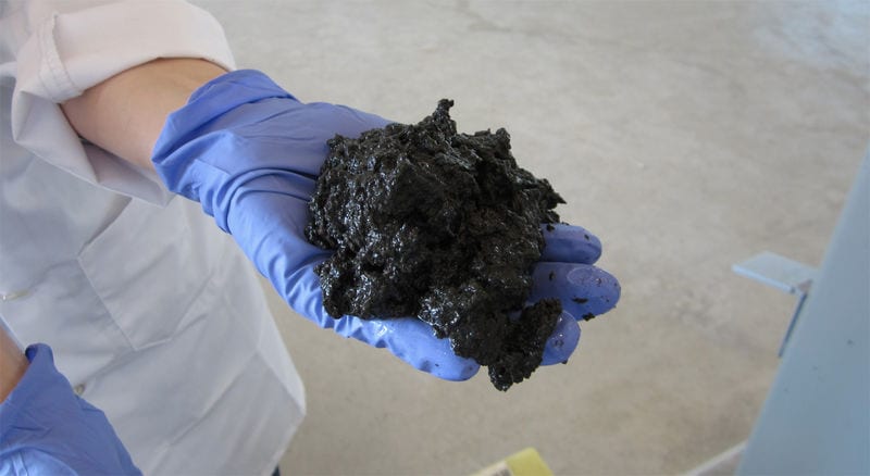 Feces-Converted Fuel