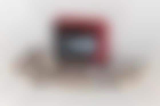 Anti-Theft Christmas Lights