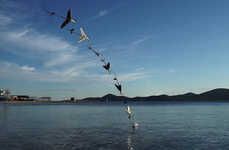 Flying Fish Drones