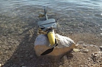 Flying Fish Drones Image 3