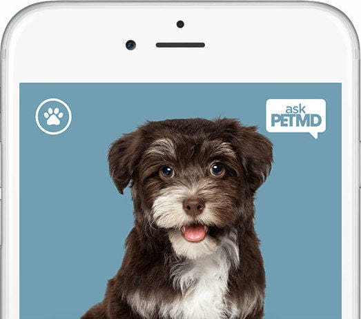 Pet Health Apps