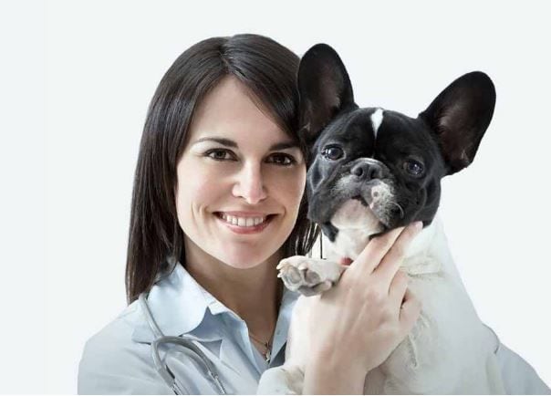 On-Demand Pet Health Services