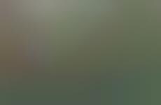 Vertical Produce Pod Gardens : hydroponic garden tower