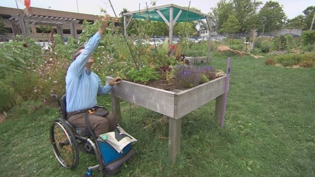Accessible Urban Gardens