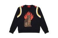 Pet-Branded Luxury Jackets Image 5