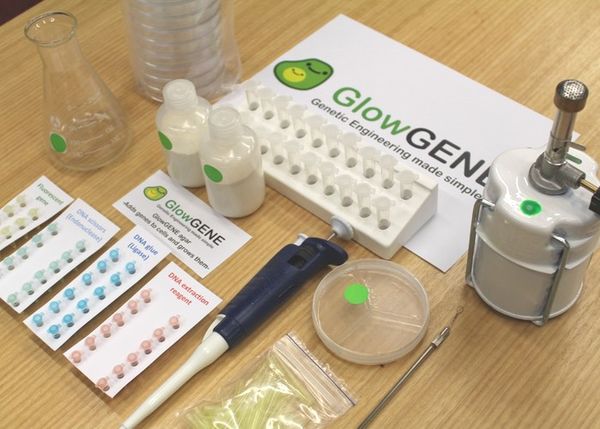 15 DNA-Specific Innovations