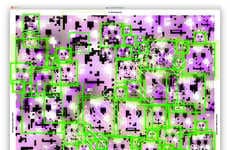 Facial Recognition Camouflage