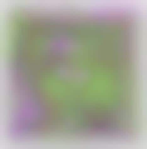 Facial Recognition Camouflage