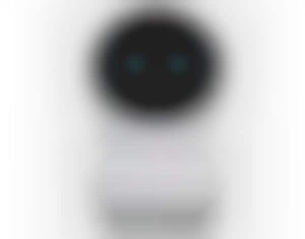 Home Assistant Robots