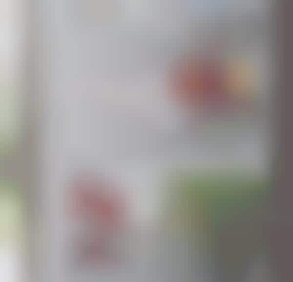 Intelligent Fridge Cameras