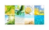 Beachy Hard Lemonades Image 4