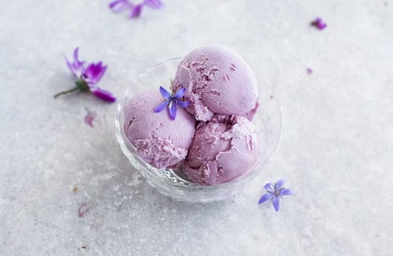 Vegan Yam Ice Creams