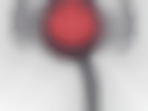 Chatbot Finance Apps