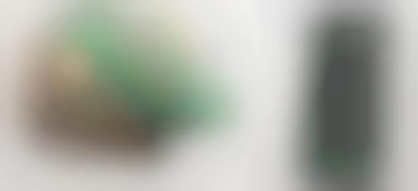 Scent-Identifying Devices
