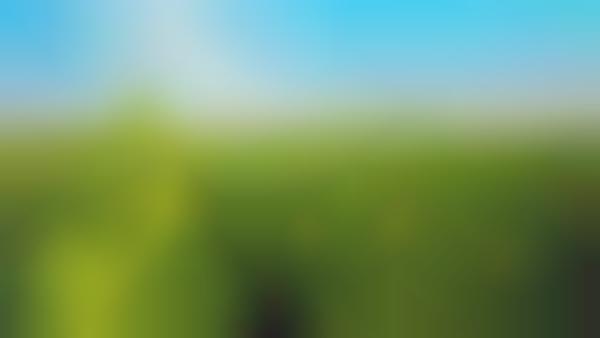 Eco-Friendly Plant Pesticides