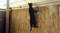 Cat Containment Fence Devices Image 4