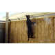 Cat Containment Fence Devices Image 4