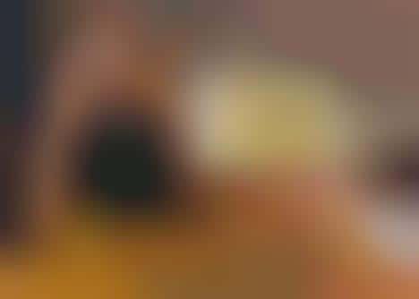 Mental Health Pizza Campaigns