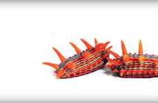 Exotic Caterpillar Videos