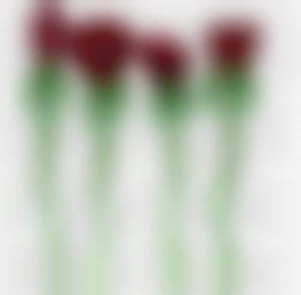 Rose-Shaped Makeup Brushes