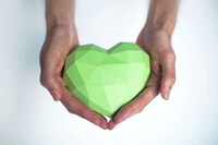 Framed Origami Hearts Image 6
