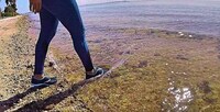 Magnetic Shoelace Training Sneakers Image 6