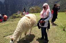 Muslim Machu Picchu Tours