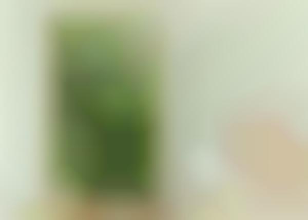 4K Digital Windows