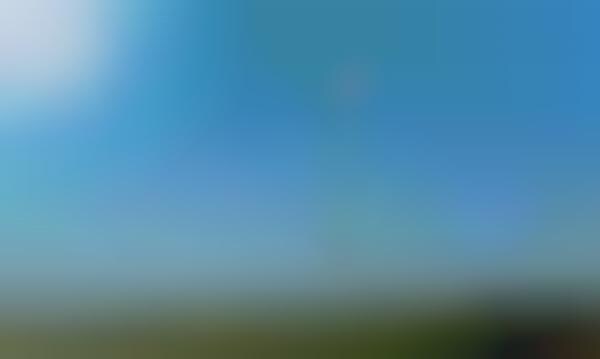 Hummingbird-Inspired Wind Turbines