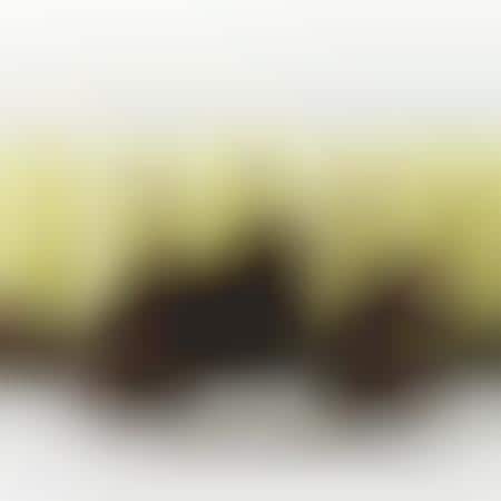 Drinkable Dessert Bars
