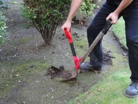 Supplementary Shovel Handles Image 3