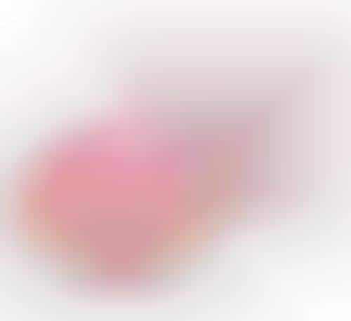 Rose-Shaped Highlighter Cosmetics