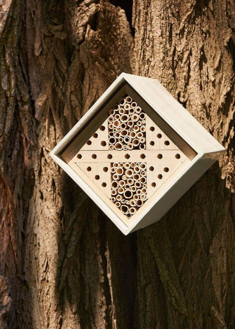Portable Beekeeping Kits
