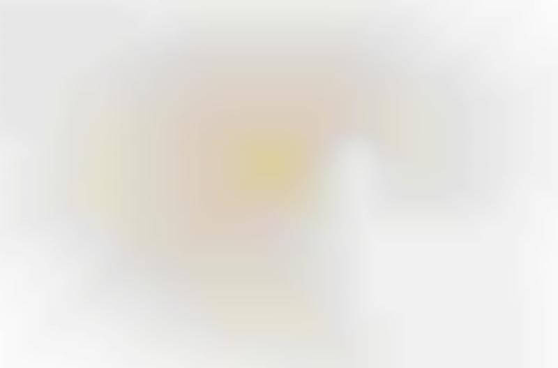 Top 40 Political Trends in 2017