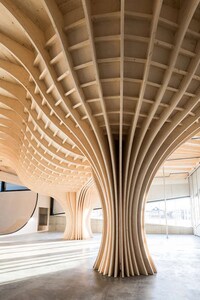 Architectural Skateboard Parks Image 4
